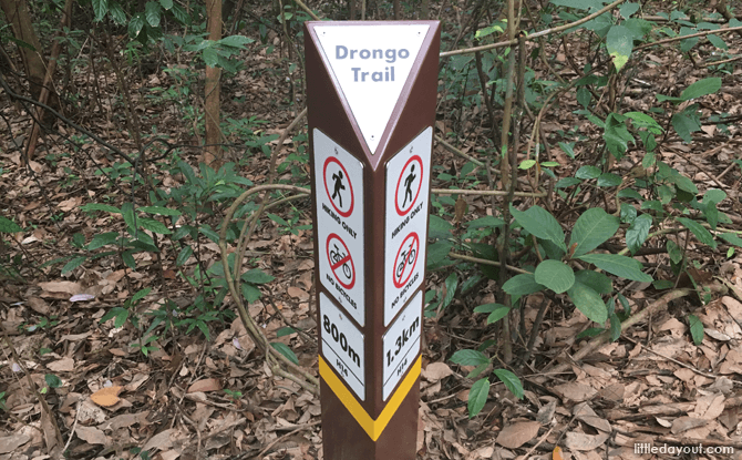 Trail Markers