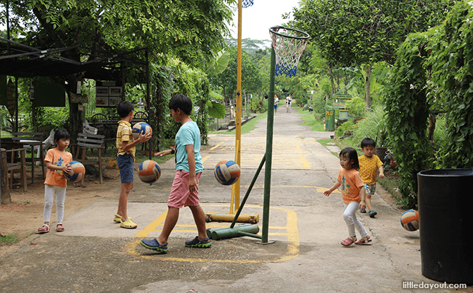 Bollywood Veggies - Basketball