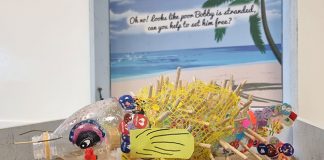 Trash Into Art: PAssion Wave Contest Highlights Marine Litter Issue