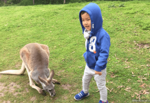 Melbourne with kids