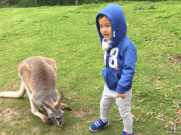 Melbourne with kids