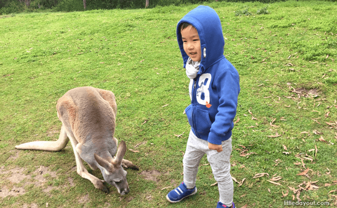 Melbourne with kids