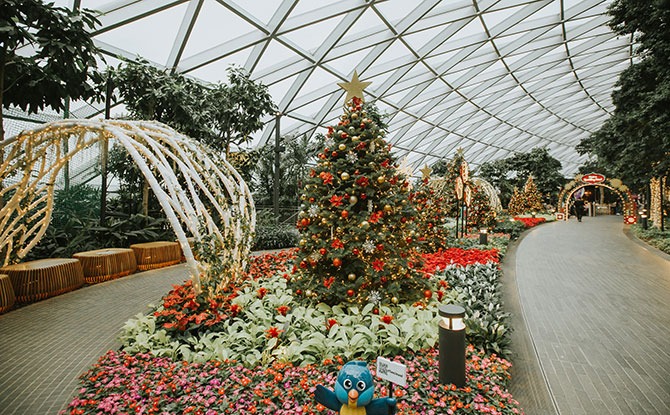 Festivities at Canopy Park