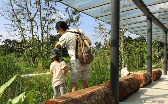 Kranji Marshes: A Different Type Of Playground Kranji Marshes: A Different Type Of Playground