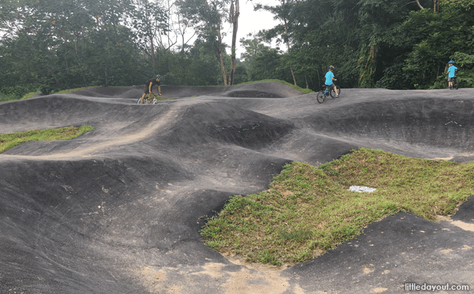 Pump Track at Chestnut Nature Park