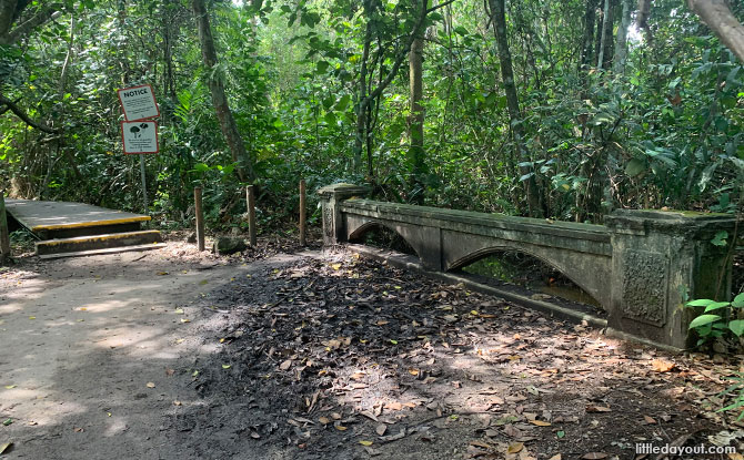 Relatively ornate stone bridge at MacRitchie Reservoir