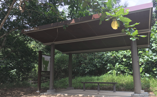 Huts along Chestnut Nature Park