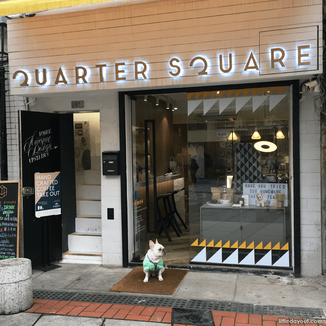 Gallery-coffee bar Quarter Square’s real life mascot surveying the public square, like the boss that he is.