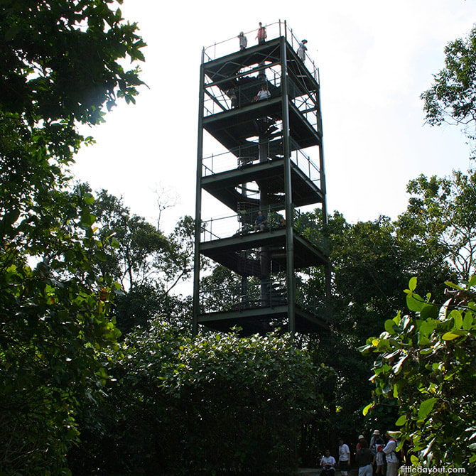Jelutong Tower - Lookout Tower in Singapore