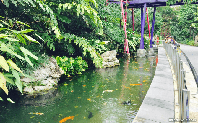 Fish pond, Gardens by the Bay