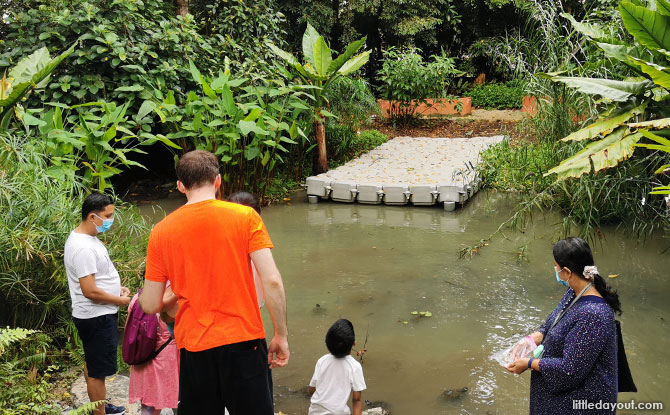 Stream at Jacob Ballas Children's Garden