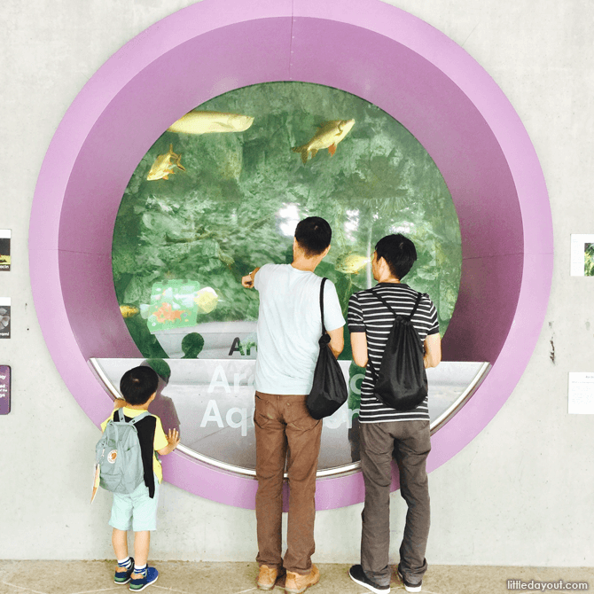 Fish at Gardens by the Bay