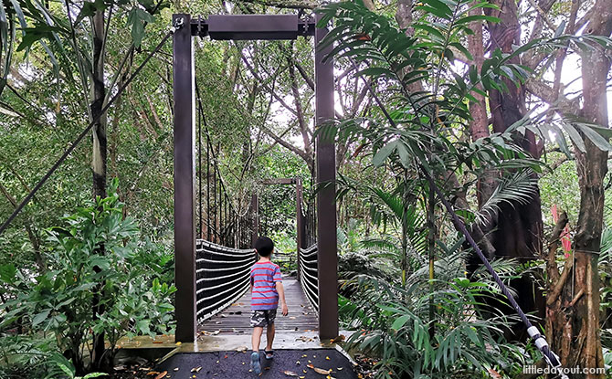 Suspension Bridge