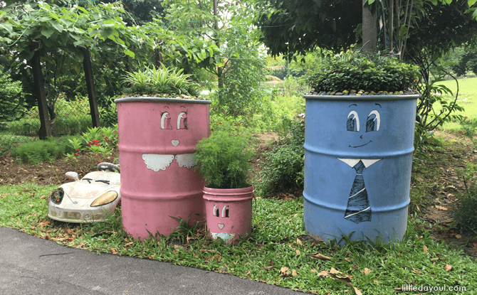 Chinese Garden Community Garden