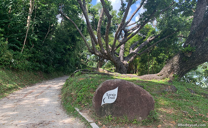 Intermediate MacRitchie Walk: Lornie Trail