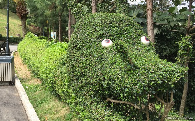 Cute dragon-shaped trimmed bushes caught the little one’s attention.