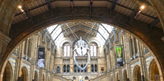 National History Museum Launches NHMHomeworkClub For Kids Interested In Dinosaurs & Wonders Of The Natural World