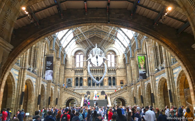 Natural History Museum, London Family Trip