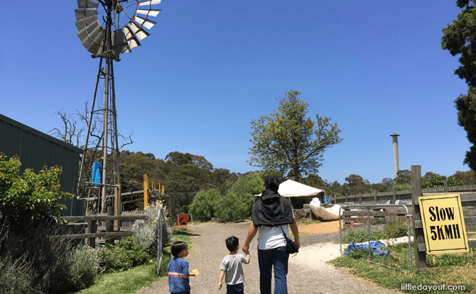 Melbourne Collingwood Children's Farm