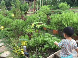 e5-openfarmcommunity