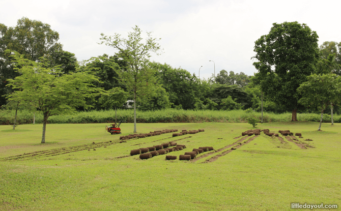 Sengkang Riverside Park rolling up green