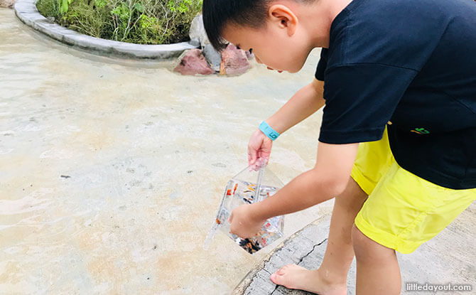 Longkang Fishing at ORTO