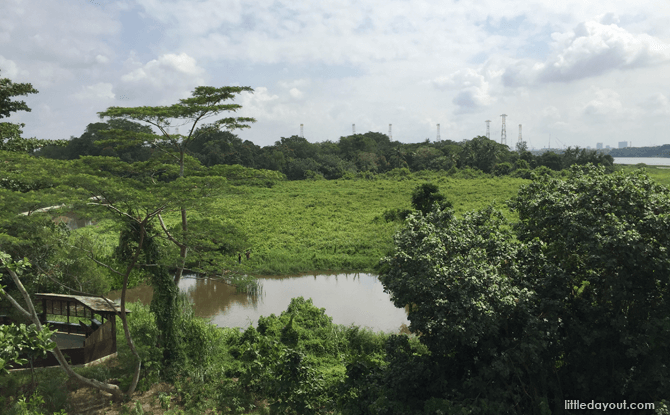 Kranji Marshes