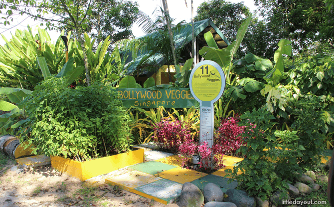 Bollywood Veggies - Farms in Singapore