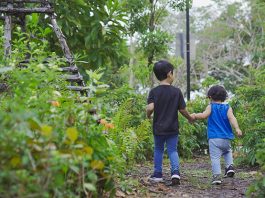 Nature Playgardens In Singapore: Introducing Kids To The Joy Of The Outdoors