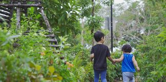 Nature Playgardens In Singapore: Introducing Kids To The Joy Of The Outdoors