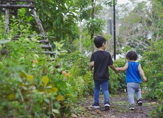 NParks Announces Plans For New 15 Km Nature Trail Along East Coast Park Nature Playgardens In Singapore: Introducing Kids To The Joy Of The Outdoors