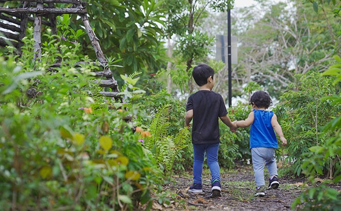 Nature Playgardens In Singapore: Introducing Kids To The Joy Of The Outdoors