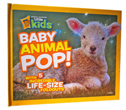Baby Animal Pop