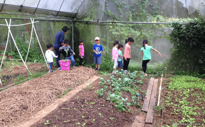 Farm Beds, Ground-up Initiative