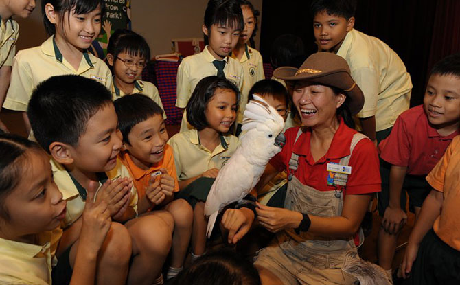 Jurong Bird Park Birds