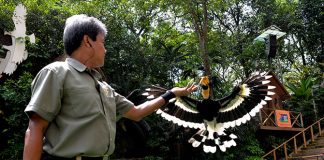 Jurong Bird Park 50 Special Edition Shows