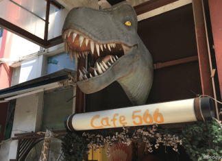20+ Unique Restaurants & Dining Spots in Singapore You Must Experience Cafe 566