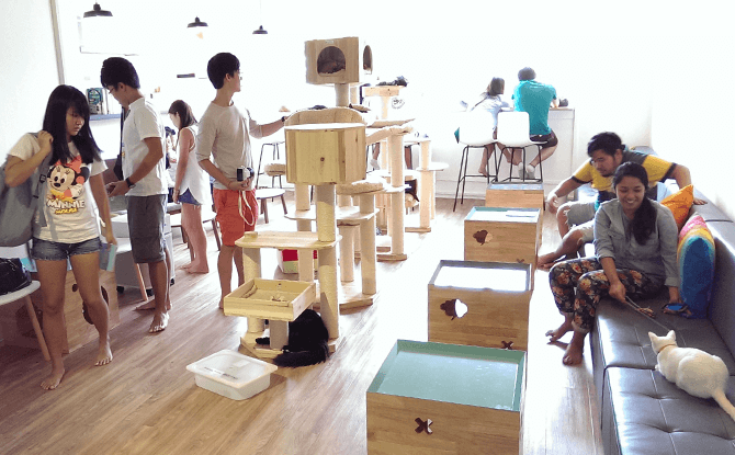 Neko Niwa Cat Cafe