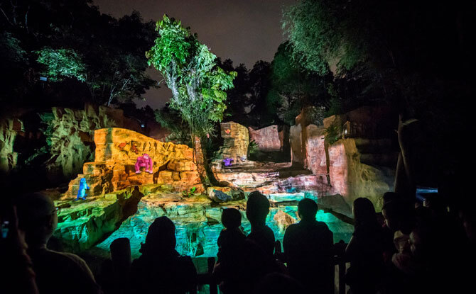 Rainforest Lumina: Enchanting Night Walk Through Singapore Zoo 8 The Call of the Wild