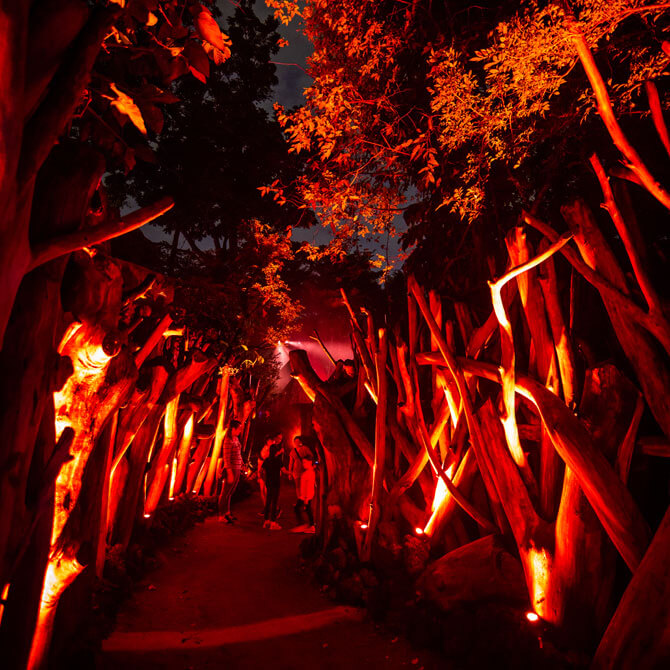 Rainforest Lumina: Enchanting Night Walk Through Singapore Zoo 4 Light Huts