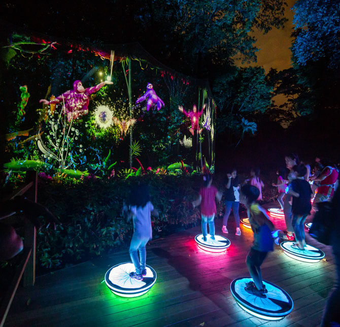 Rainforest Lumina: Enchanting Night Walk Through Singapore Zoo 9 Play Like An Animal, Rainforest Lumina