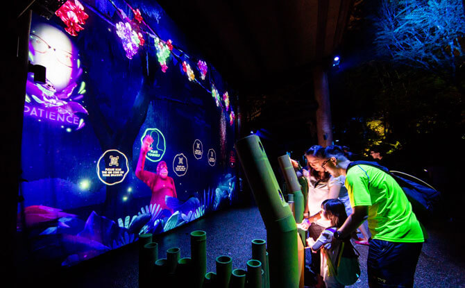 Rainforest Lumina: Enchanting Night Walk Through Singapore Zoo 10 Wall of Fame