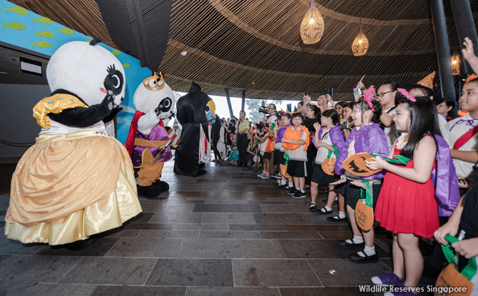 eSafari-Boo-River-Safari-Panda-mascots-in-fairy-tale-finery