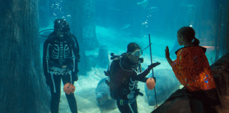 eSafari-Boo-River-Safari-Skeleton-divers-and-mermaid-manatees-1