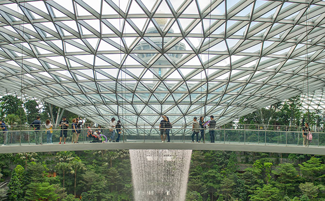 Canopy Bridge