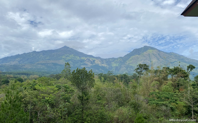 east java Mount Arjuno