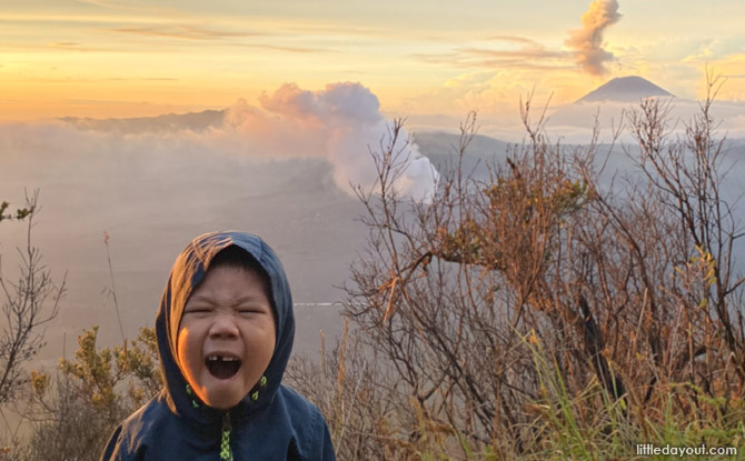 east java bromo