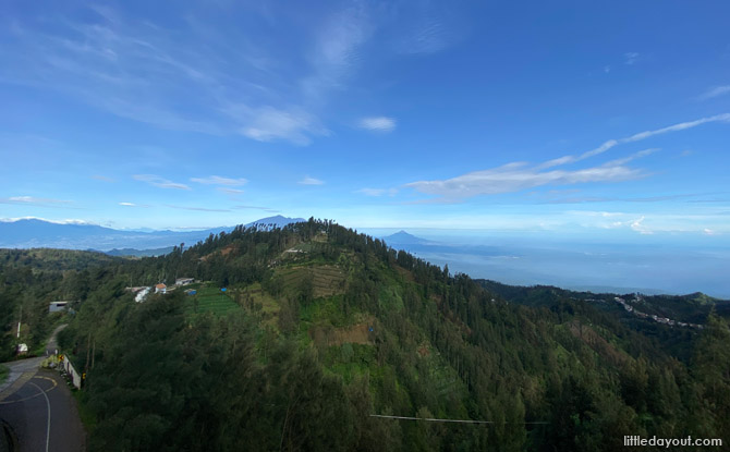 east java plantaran