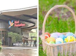 Easter Eggs-travaganza At Bird Paradise: Easter Egg Hunts & Kids Enter Free