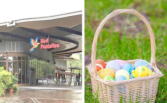 Easter Eggs-travaganza At Bird Paradise: Easter Egg Hunts & Kids Enter Free